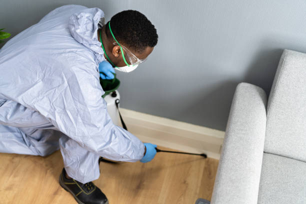 Reliable West Nyack, NY Pest control Solutions